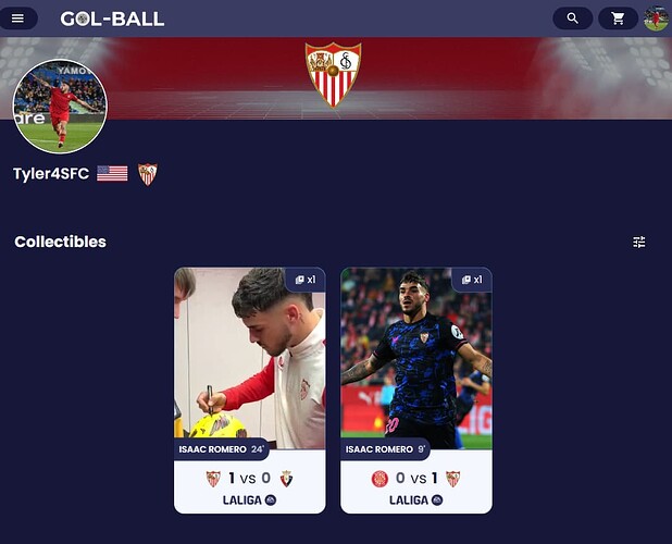 Screenshot 2024-01-29 232238
