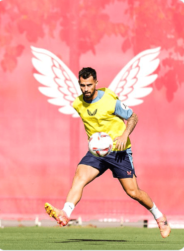Capture.PNG suso
